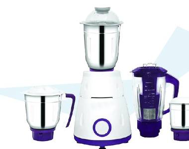 Magnum mixer grinder